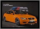 BMW M3 GTS, Coupe