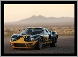 Ford gt40