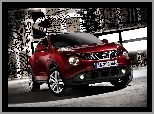 Nissan Juke, 2010