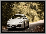 Porsche Cayman S, Droga